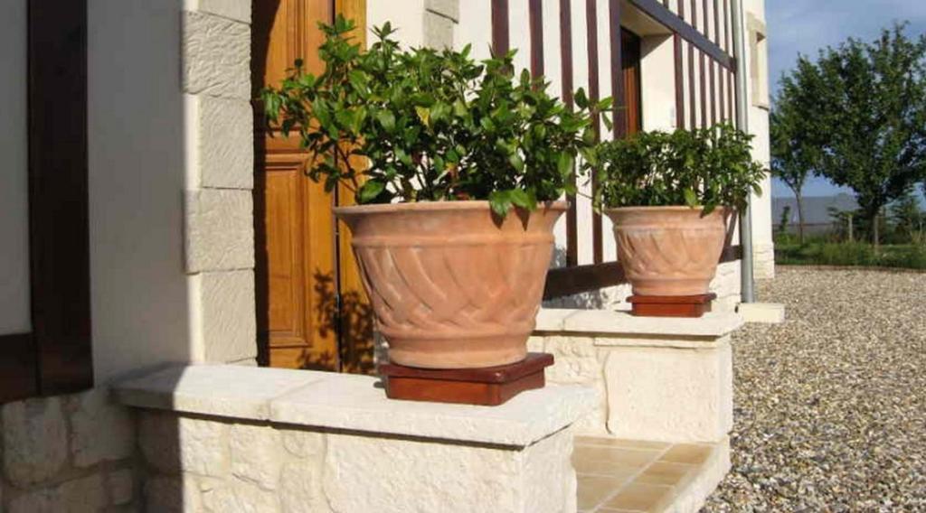 Le Mont D'Auge Bed & Breakfast Canapville  Exterior photo