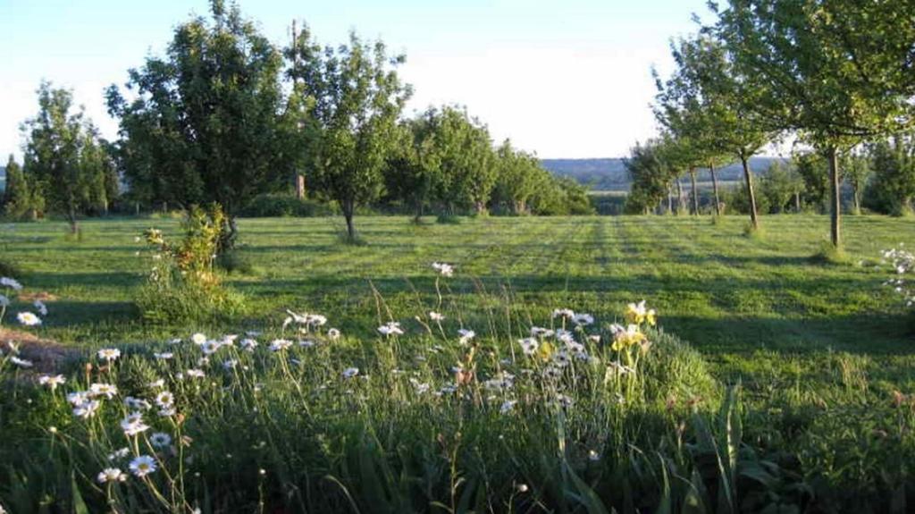 Le Mont D'Auge Bed & Breakfast Canapville  Exterior photo