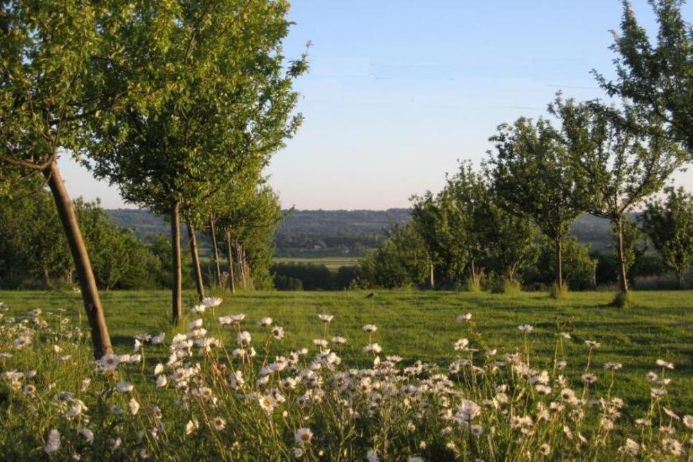 Le Mont D'Auge Bed & Breakfast Canapville  Exterior photo
